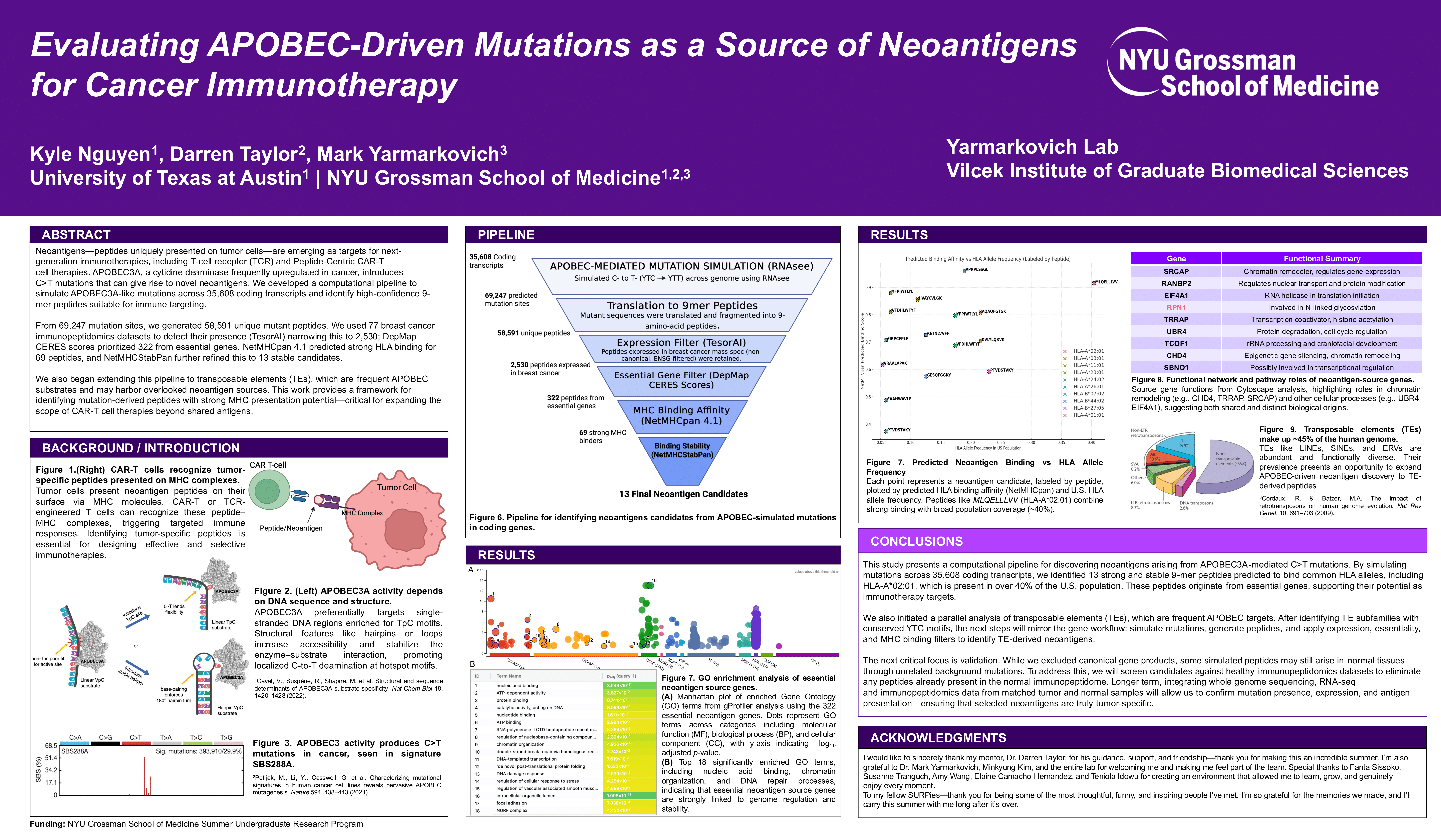 NYU research poster